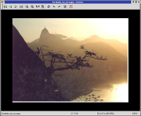 Image Viewer